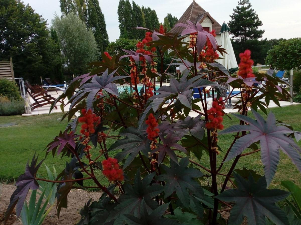 Chambres D'Hotes Au Clos De Beaulieu Bossée Zewnętrze zdjęcie